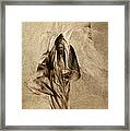 Prophet Of The Most High Framed Print