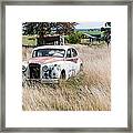 Prowling In The Long Grass Framed Print