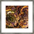 Psychedelic Fungi Framed Print