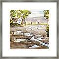 Puddles Framed Print