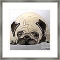 Pug Framed Print