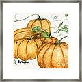 Pumpkin Time Framed Print