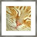 Pure Bliss Framed Print