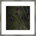 Purple Drops Framed Print