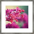 Purple Flowers Of Kauai Framed Print