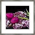 Purple Flowers Framed Print