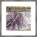 Purple Plume Framed Print