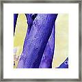 Purple Trees Framed Print