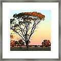 Quilpie Dusk Framed Print