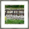 Railway Tracks And Wild Sunflowers Framed Print