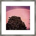 Rainbow Framed Print