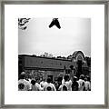 Reaching For The Sky In Black And White Framed Print