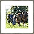 Ready For The Parade Framed Print