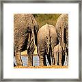 Rear View Framed Print