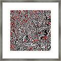 Red  And Grey Framed Print