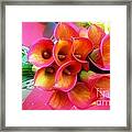 Red Calla Lilies Framed Print