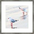 Red Legs And Lipstick Framed Print