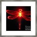 Red Midnight Dragonfly Framed Print