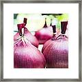 Red Onions Framed Print
