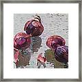 Red Onions Framed Print