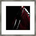 Red Riding Hood Framed Print