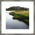 Reeds On The Water Framed Print