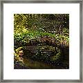 Reelig Bridge And Grotto Framed Print