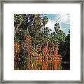 Reflecting Fall Pond With Trees Framed Print