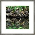 Reflection Framed Print