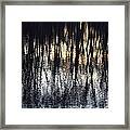 Reflections Framed Print