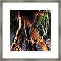 Reflections Framed Print by Michelle Wrighton