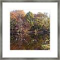 Reflections Of Autumn Framed Print