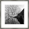 Reflections Of Natural Beauty Framed Print