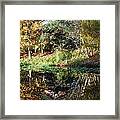 Reflections On A Florida Winter Morn Framed Print