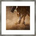 Reining Legs Framed Print