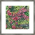 Rhododendrons And Azaleas Framed Print