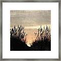 Rise Between The Dunes Framed Print