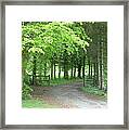 Road Into The Woods Framed Print