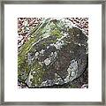 Rock At Bakers Mountain Framed Print