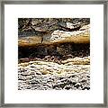 Rock Dweller Framed Print