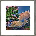 Romp Through A Colorful Field Framed Print
