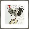 Rooster Framed Print