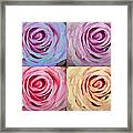 Rose Spiral Colorful Mix Framed Print