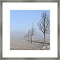 Row Of Trees In The Morning Framed Print