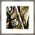 Rusty Door Framed Print