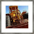 Rusty Gold Cat 824 Framed Print