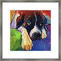 Saint Bernard Dog Colorful Portrait Painting Print Framed Print