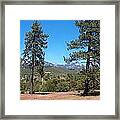San Bernardino Forest Vista Framed Print