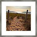 Sandswept Framed Print