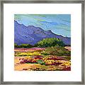 Santa Rosa Mountains In Spring Framed Print